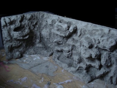 Rückwand fast trocken.jpg