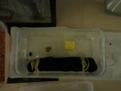 2010-10-30 18.46.20.jpg