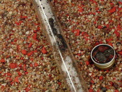 Queens und Major.jpg