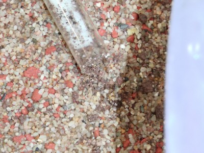 Nesteingang Futter.jpg