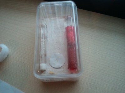 2011-01-16 10.15.23.jpg