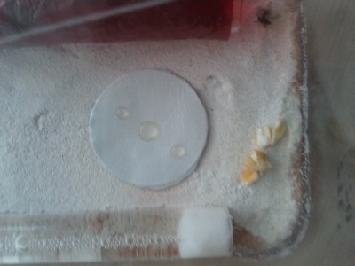 2011-01-16 10.15.39.jpg