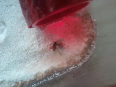 2011-01-16 10.12.39.jpg