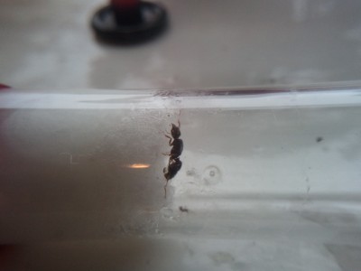 2011-01-16 10.14.04.jpg