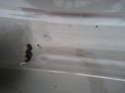 2011-01-16 10.14.10.jpg