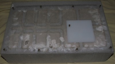 08 b Nest mit trockenem Gips und Scheibe.JPG