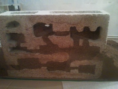 2011-02-10 06.34.59.jpg