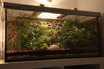 Terrarium.jpg