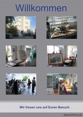 Das Ameisen Event 2011 -S2.jpg