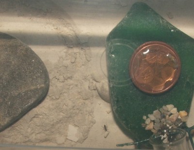 03 25.02.2011 e Steintransport 2.JPG