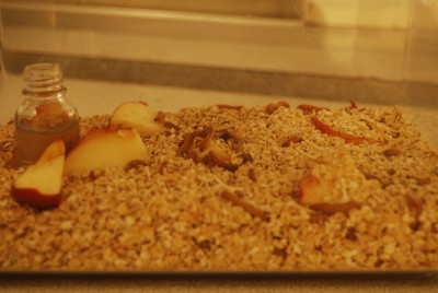 DSC_0682 - Kopie.JPG