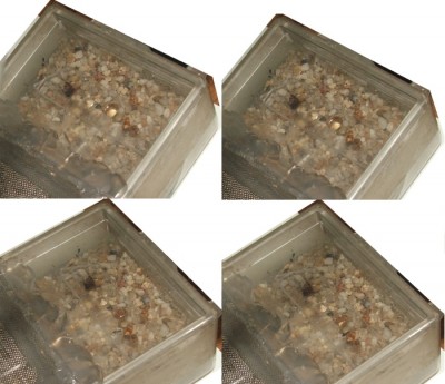 DSCF7591 - Kopie.JPG