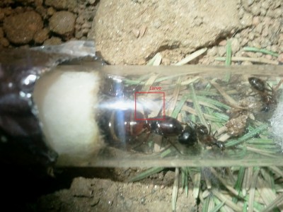 2011-03-25 21.29.03.jpg