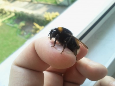 2011-03-23 16.34.47.jpg