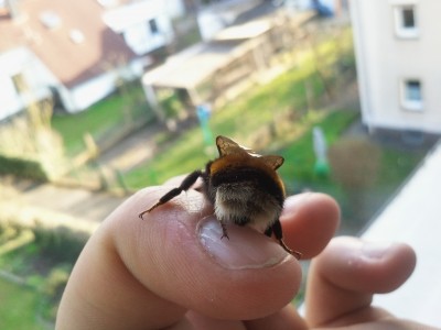 2011-03-23 16.34.57.jpg