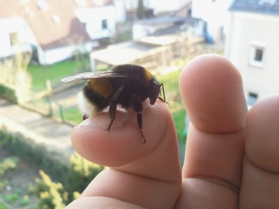 2011-03-23 16.35.12.jpg