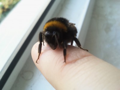 2011-03-23 16.35.39.jpg