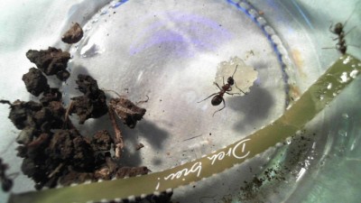 2011-04-15 19-43-10.578.jpg