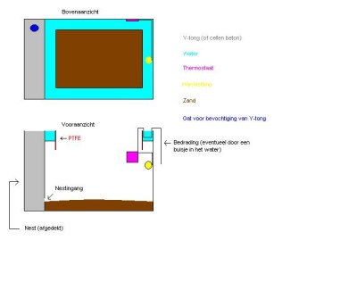Formicarium voorbeeld.JPG