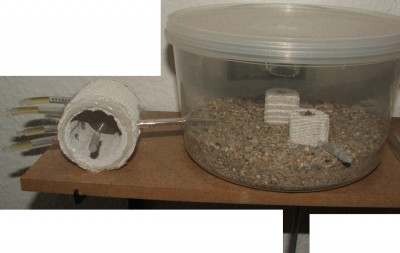 19 22.04.2011 g zur neuen Arena.JPG