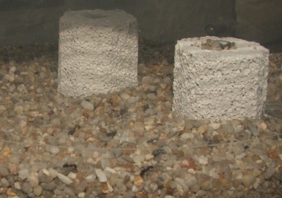 19 22.04.2011 i in der neuen Arena.JPG