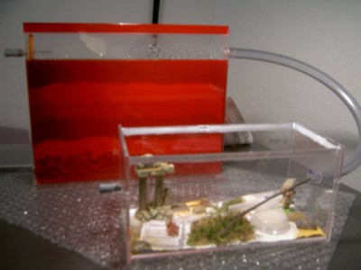 Haltungsbericht 004.jpg