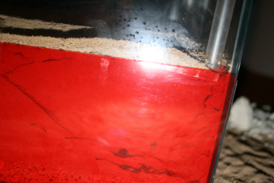 Nest - Hinten l01.png