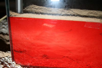 Nest - Hinten r01.png