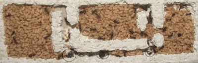 26 10.05.2011 b Puppenlager 2 Dachgeschoss.JPG