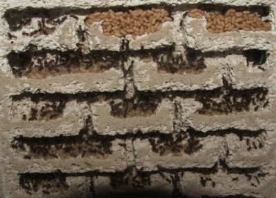 26 10.05.2011 c Puppenlager 3 Hängematten.JPG