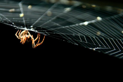 _MG_2957 ffKopie.jpg