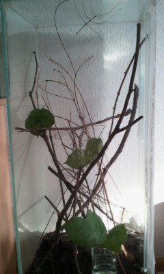 Foto1377 - Kopie.jpg