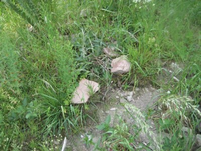 Die besagten Steinplatten / d.JPG d.JPG