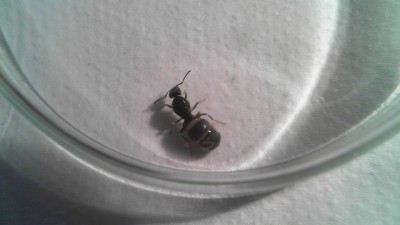 2011-06-25 21-49-49.686.jpg