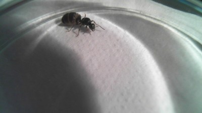 2011-06-25 21-51-04.047.jpg