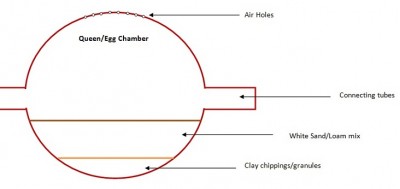 Egg Chamber / chamber.jpg chamber.jpg
