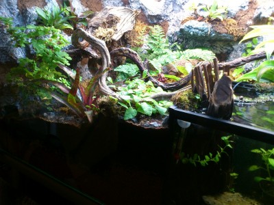 Nest und Pflanzen linke Seite 1.jpg