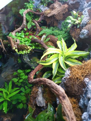 Draufsicht schräg.jpg