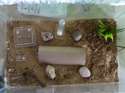 29.08.11 Kolonie A.jpg