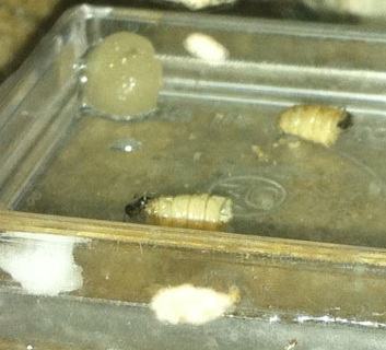 29.08.11 Futtern.jpg