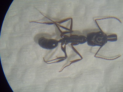 PICT0132 (resized).jpg