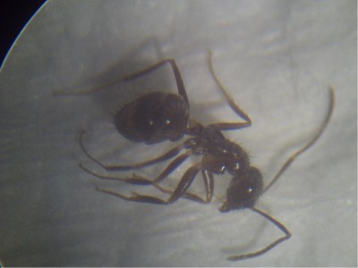 PICT0135 (resized).jpg