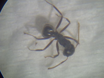 PICT0137 (resized).jpg