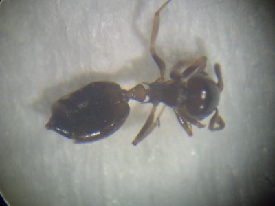 PICT0142 (resized).jpg