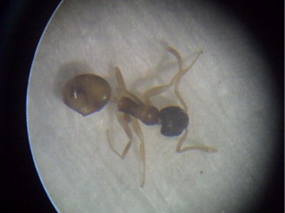 PICT0146 (resized).jpg