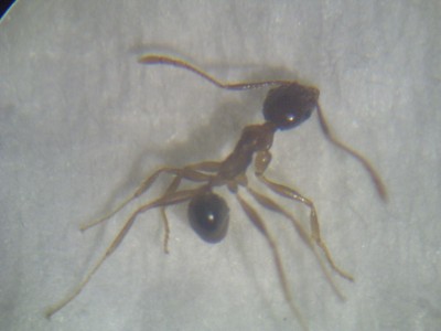 PICT0150 (resized).jpg