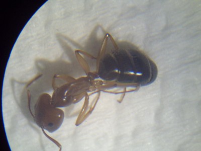 PICT0154 (resized).jpg