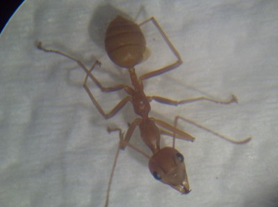 PICT0156 (resized).jpg