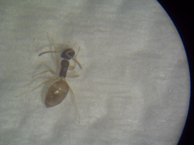 PICT0160 (resized).jpg