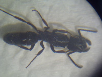 PICT0162 (resized).jpg